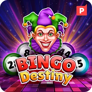 BINGO DESTINY