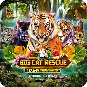 BIG CAT RESCUE MEGAWAYS