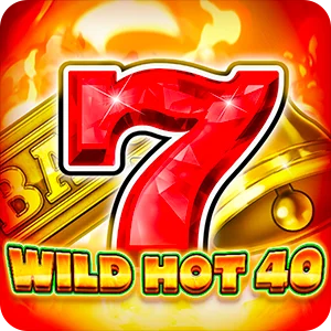WILD HOT 40