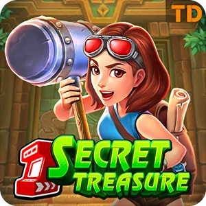 SECRET TREASURE